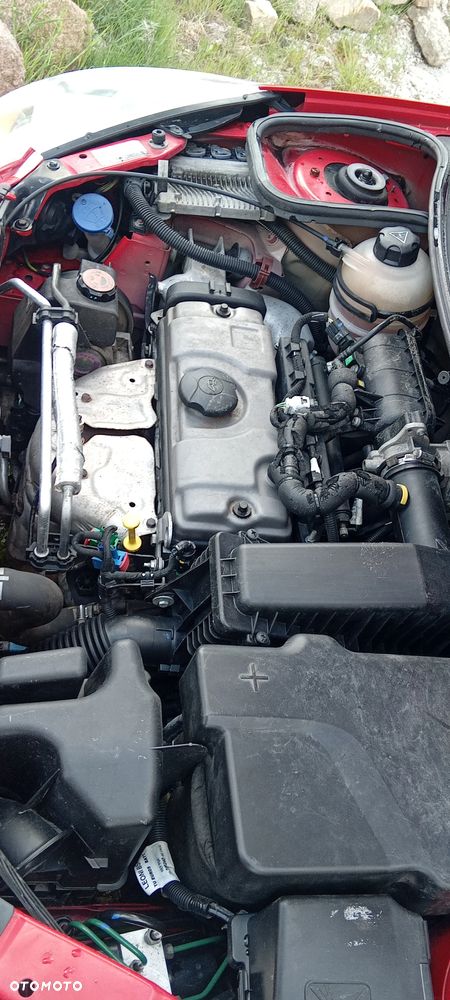 Peugeot 206 75 Petit Filou - 19
