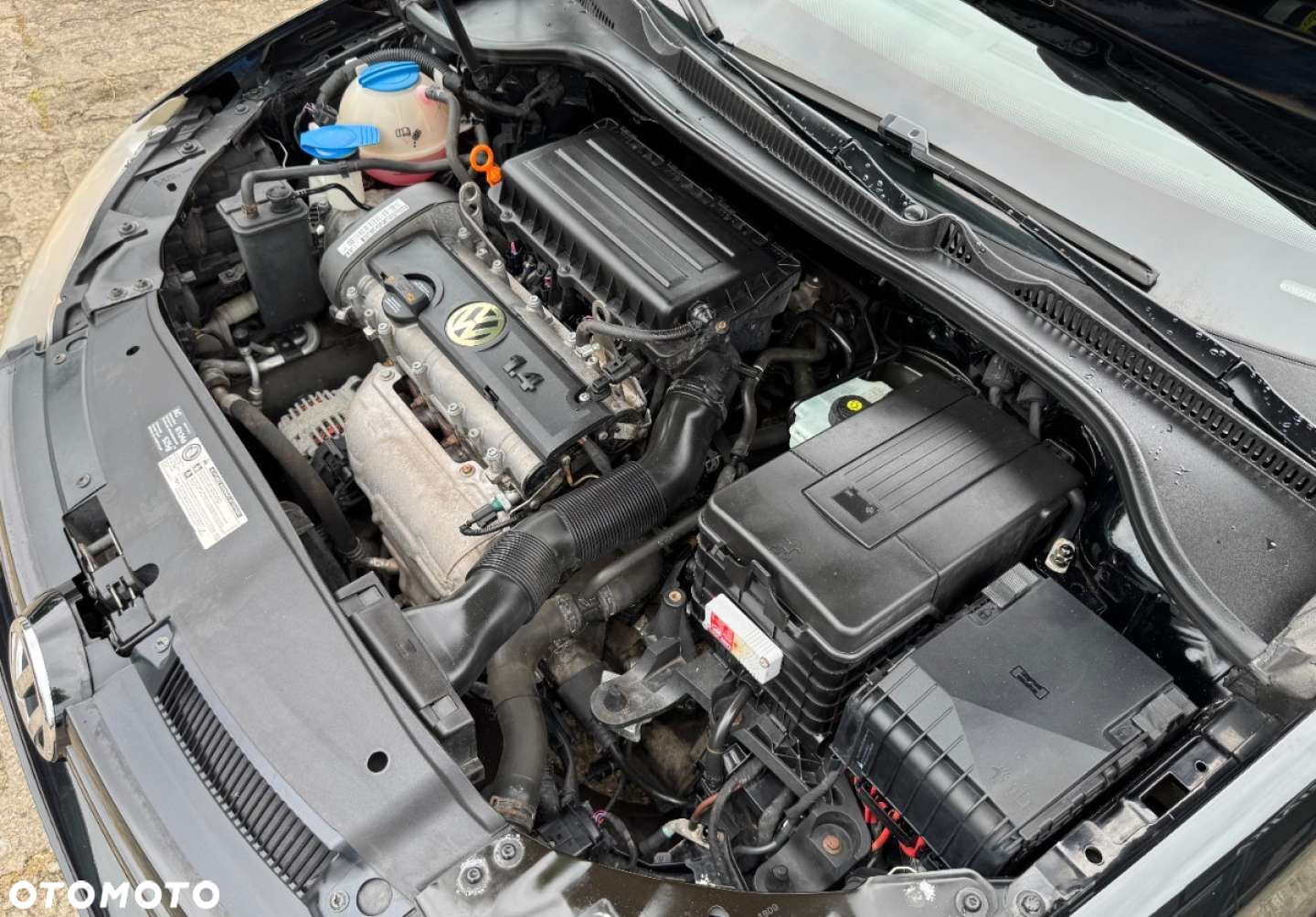 Volkswagen Golf - 27