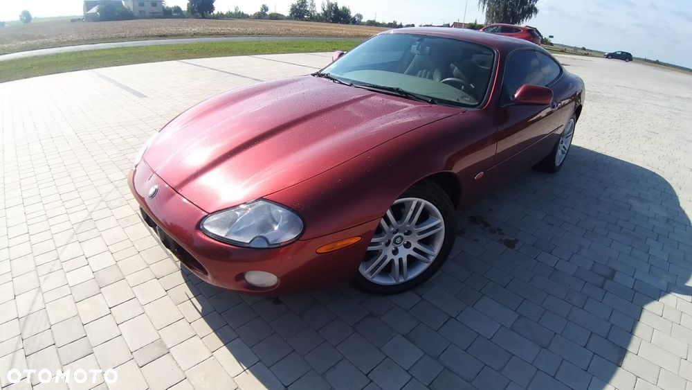 Jaguar XK Coupe - 8