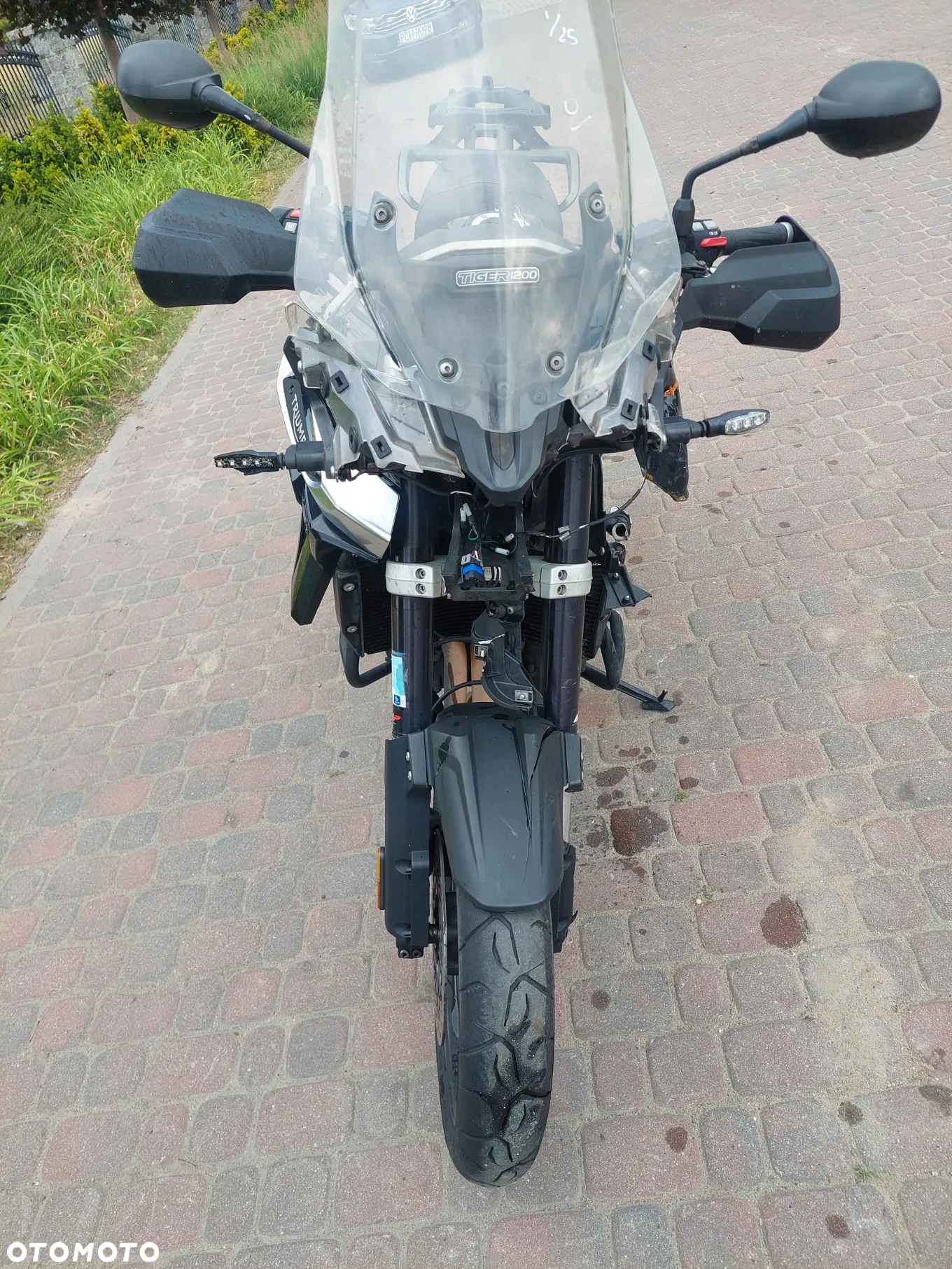 Triumph Tiger - 8