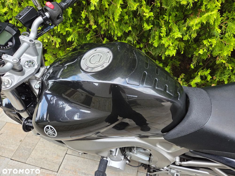 Yamaha FZ6 - 18