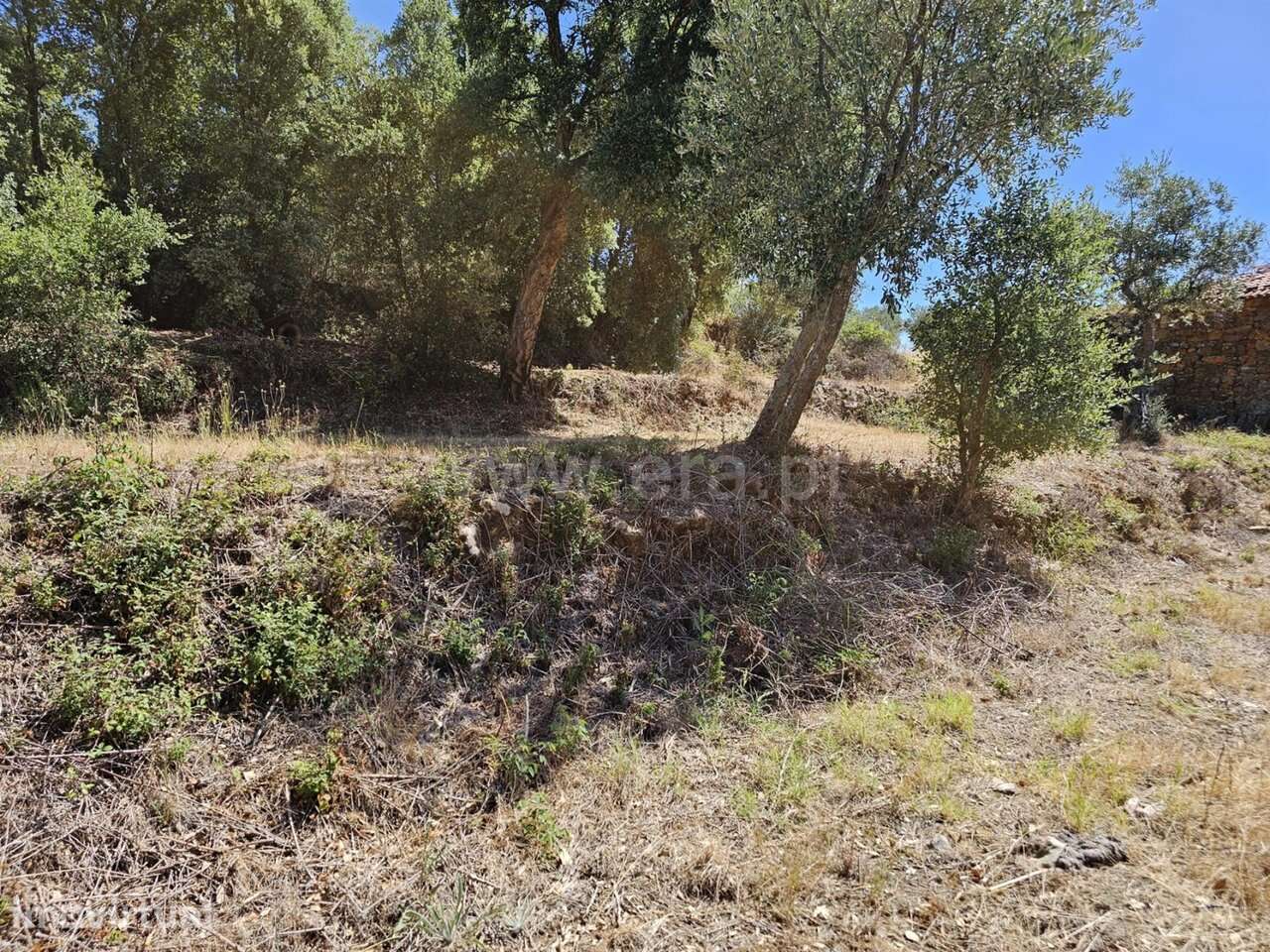 Terreno / Fundão, Telhado - Grande imagem: 3/8