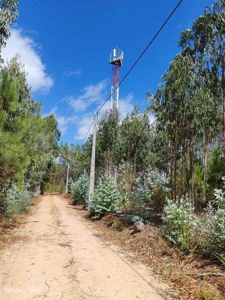 Terreno urbanizável 30.000 m2 em Podentes - Grande imagem: 2/2