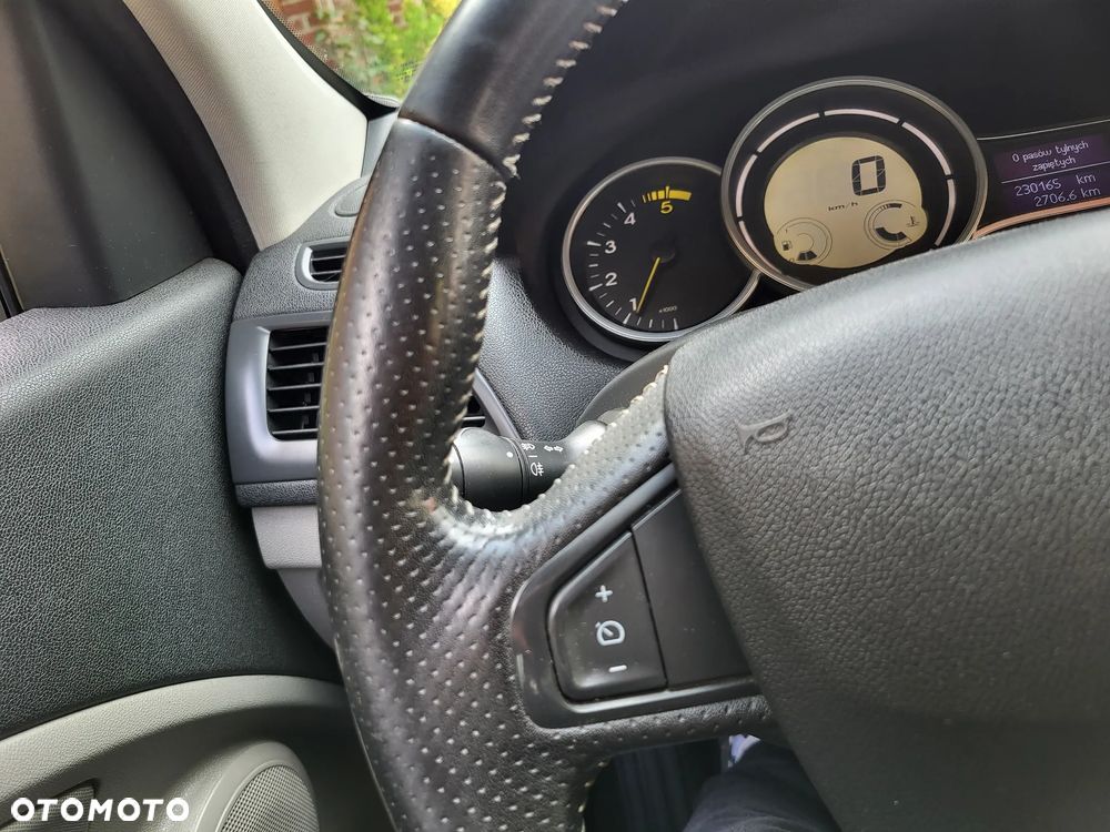 Renault Megane - 29