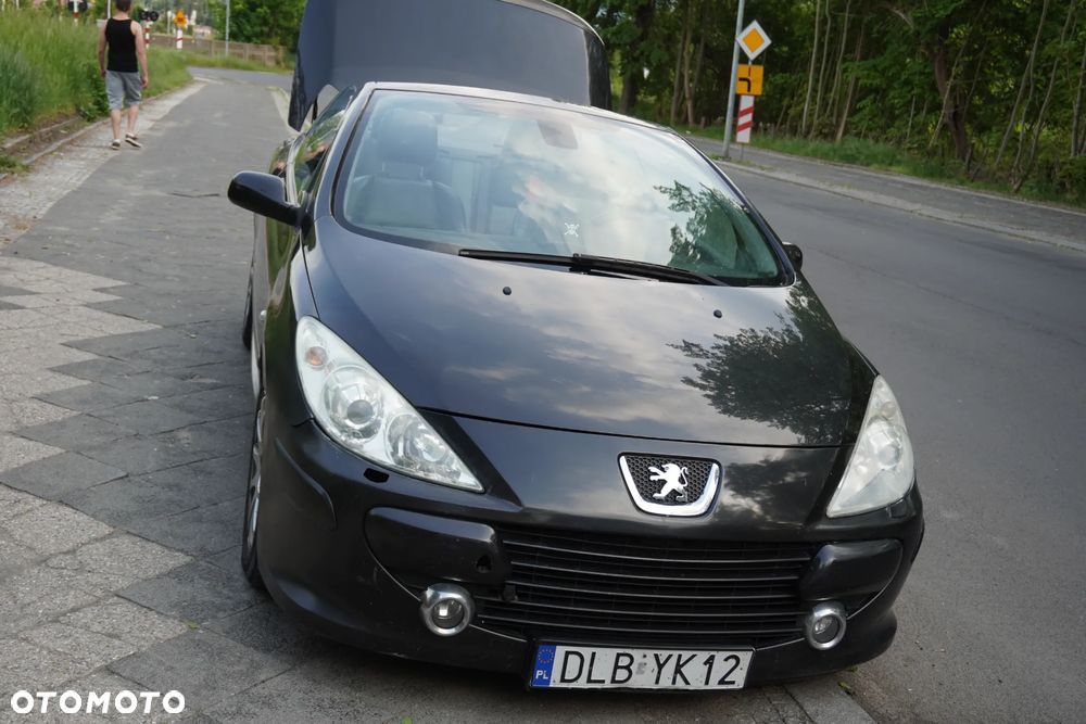 Peugeot 307 CC - 15