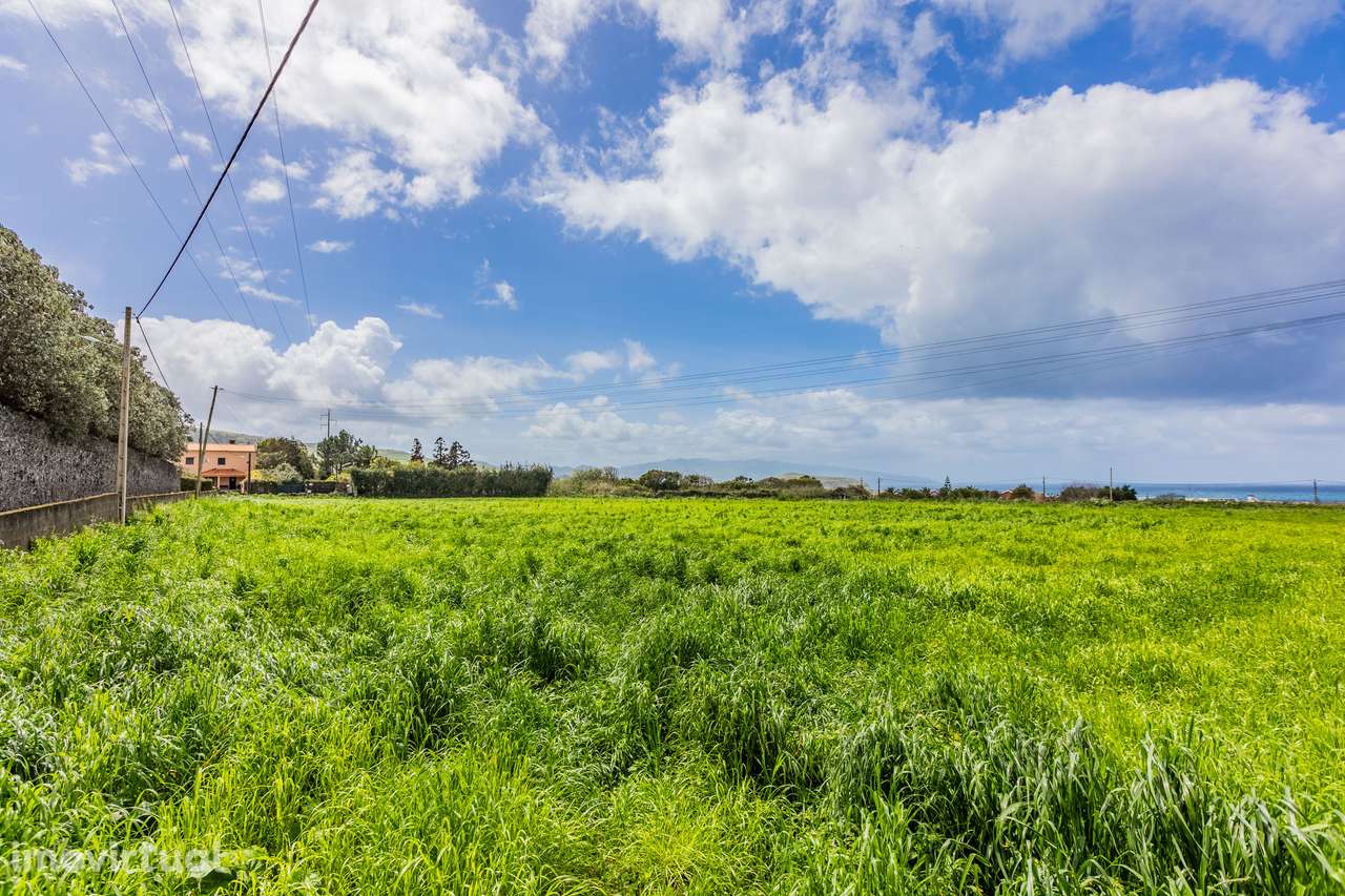 Terreno Rústico - Caminho da Mafoma, Ribeira Seca - Grande imagem: 2/7