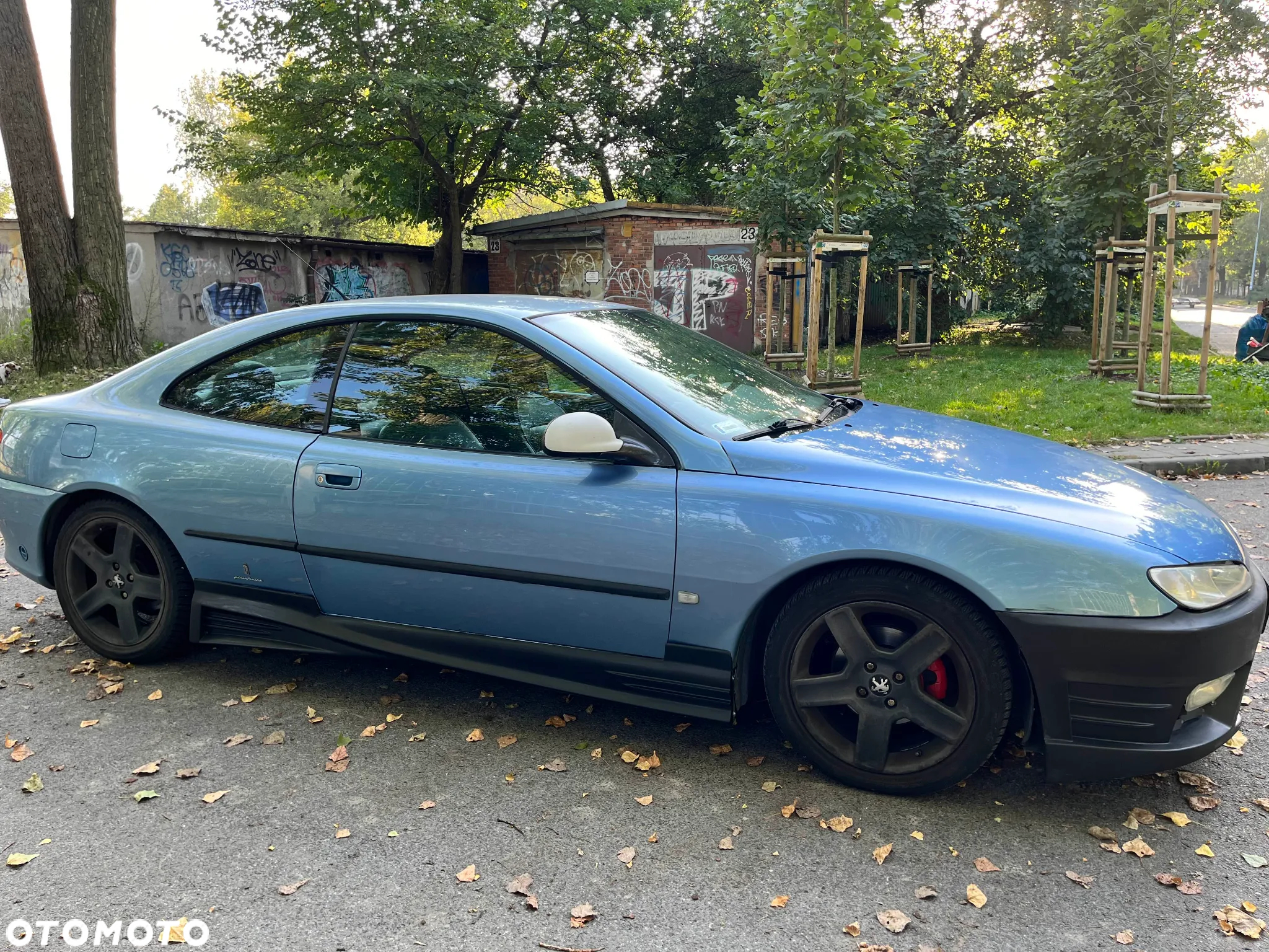Peugeot 406 2.0 - 3