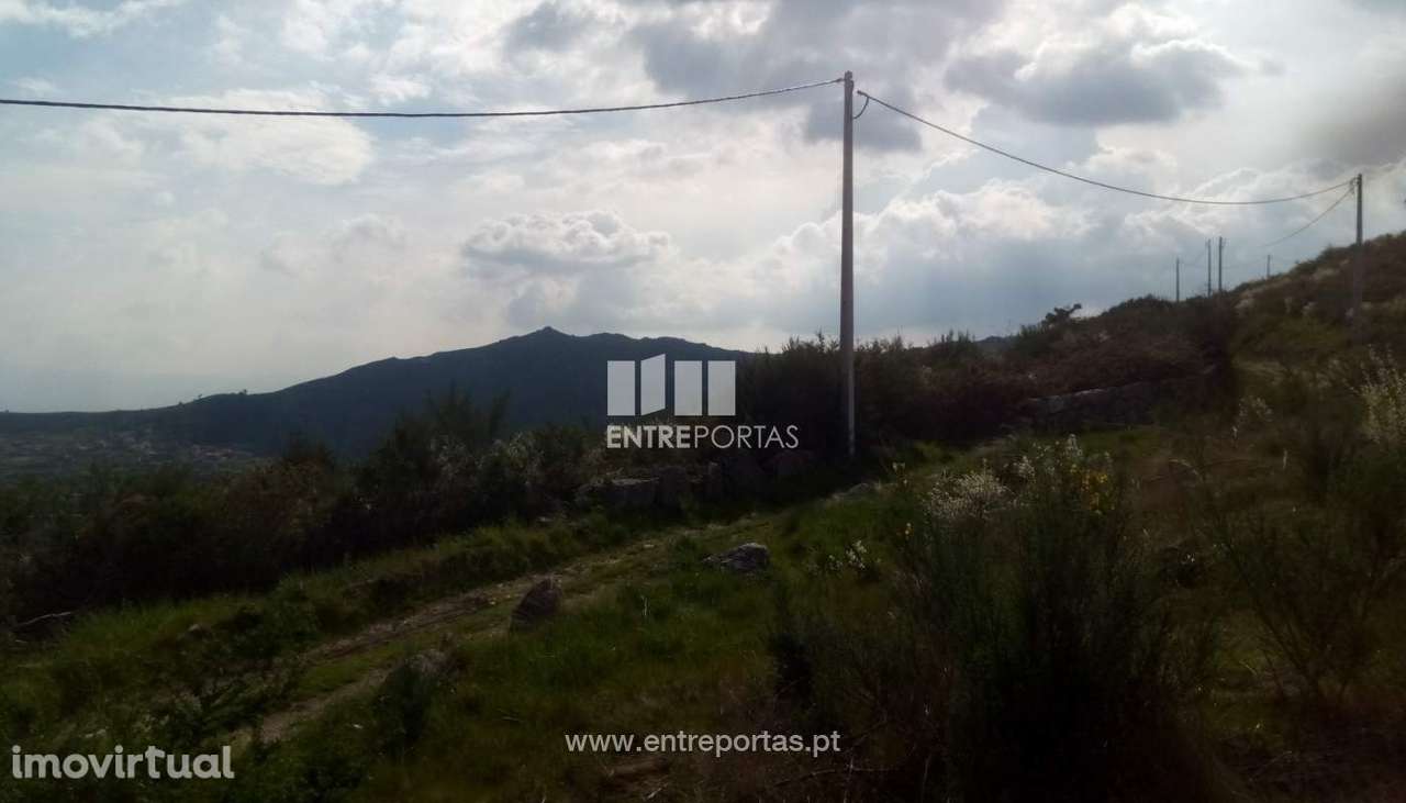 Venda Terreno com 6400m2, Gestaçô, Baião - Grande imagem: 5/17