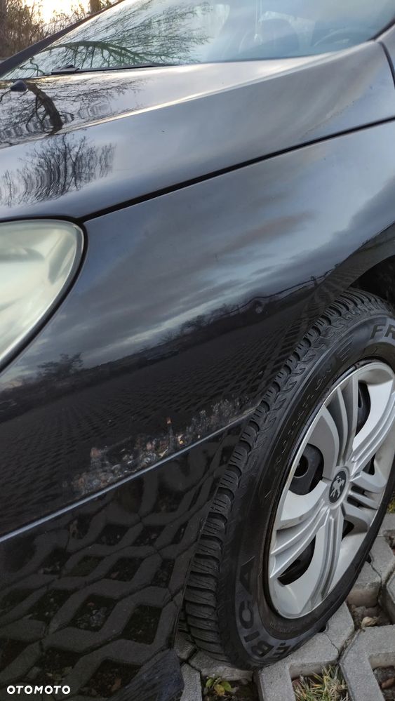 Peugeot 407 2.0 HDI SV Executive EU4 - 28