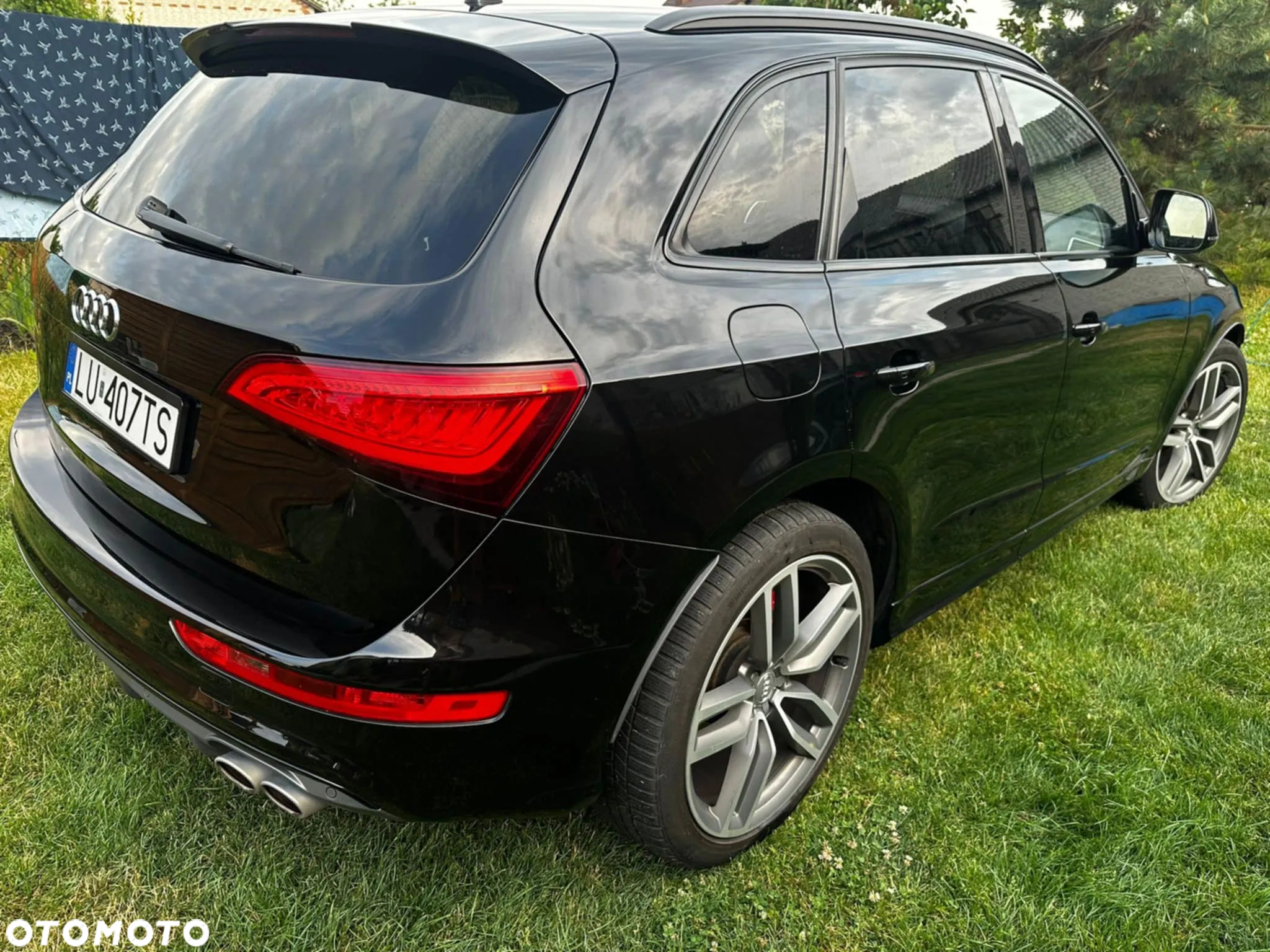 Audi SQ5 3.0 TDI Quattro Tiptronic EU6 - 3