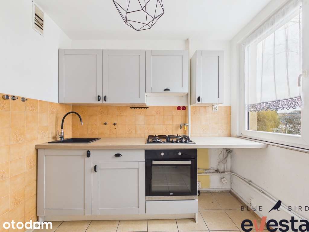 3 pokoje / pełen rozkład / 50,6 m² / 2 piętro