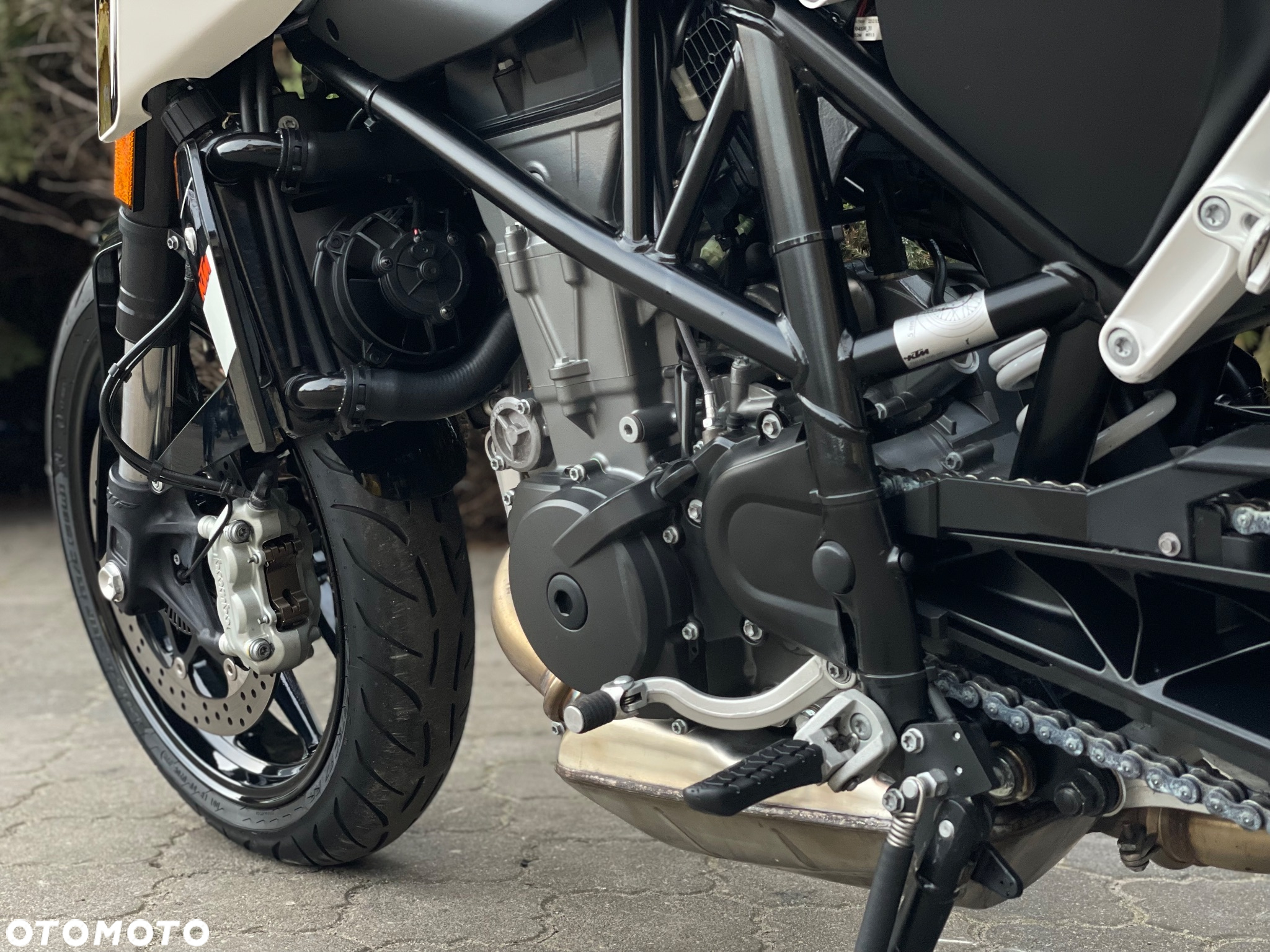 KTM Duke - 37