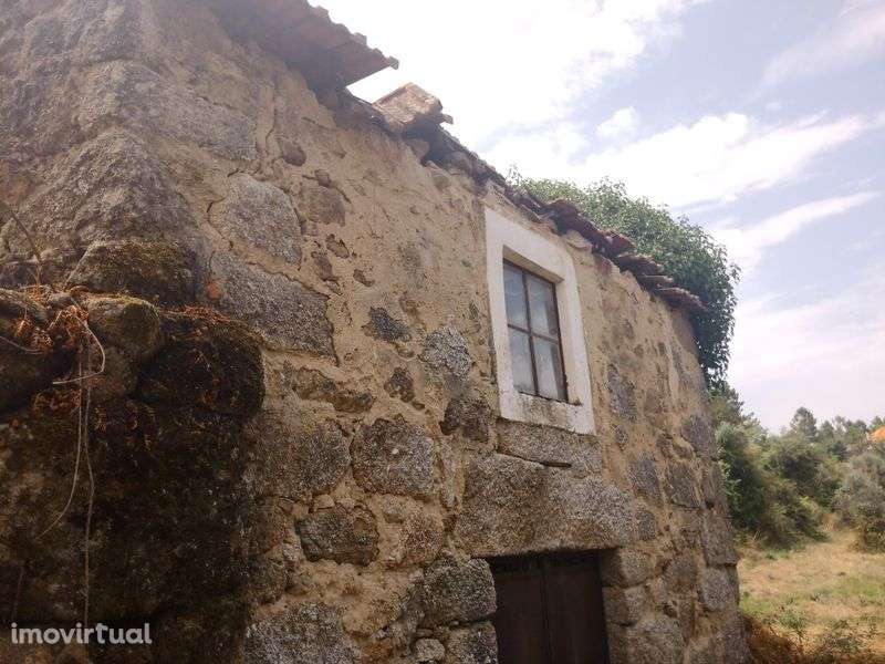 Casa rústica para reconstrução Linhares (Celorico da Beira) - Grande imagem: 5/8