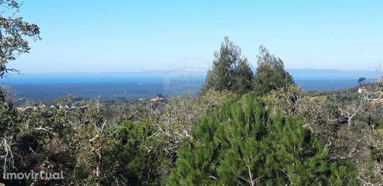 Terreno  para venda - Grande imagem: 2/17