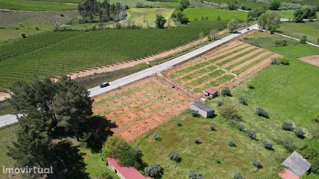 Terreno - Grande imagem: 4/5