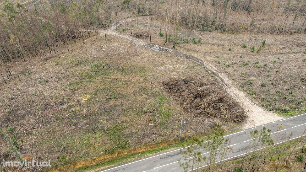 Terreno Rústico em Matas, Ourém! - Grande imagem: 4/12