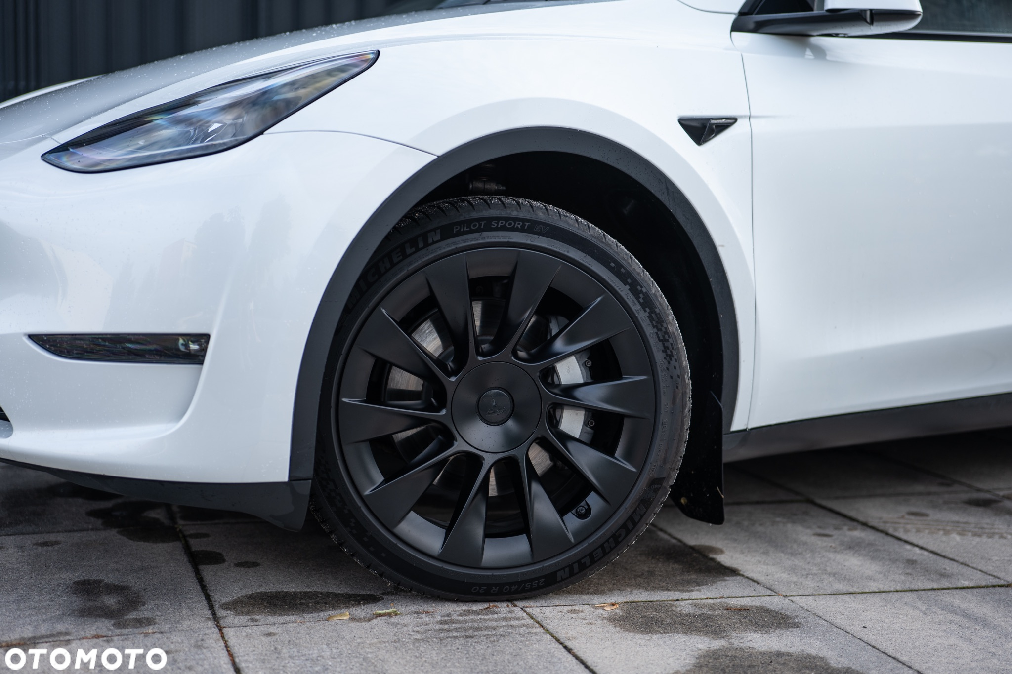 Tesla Y Long Range AWD - 2
