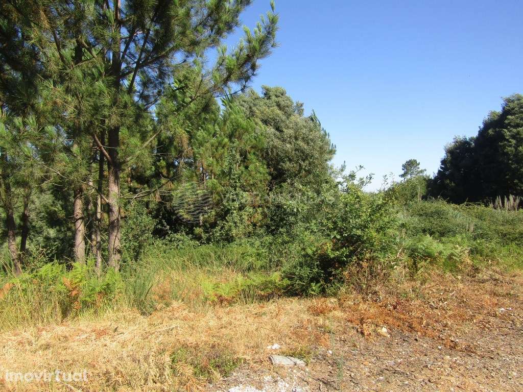 Terreno para Investimento - Crestuma, Vila Nova de Gaia - Grande imagem: 4/13