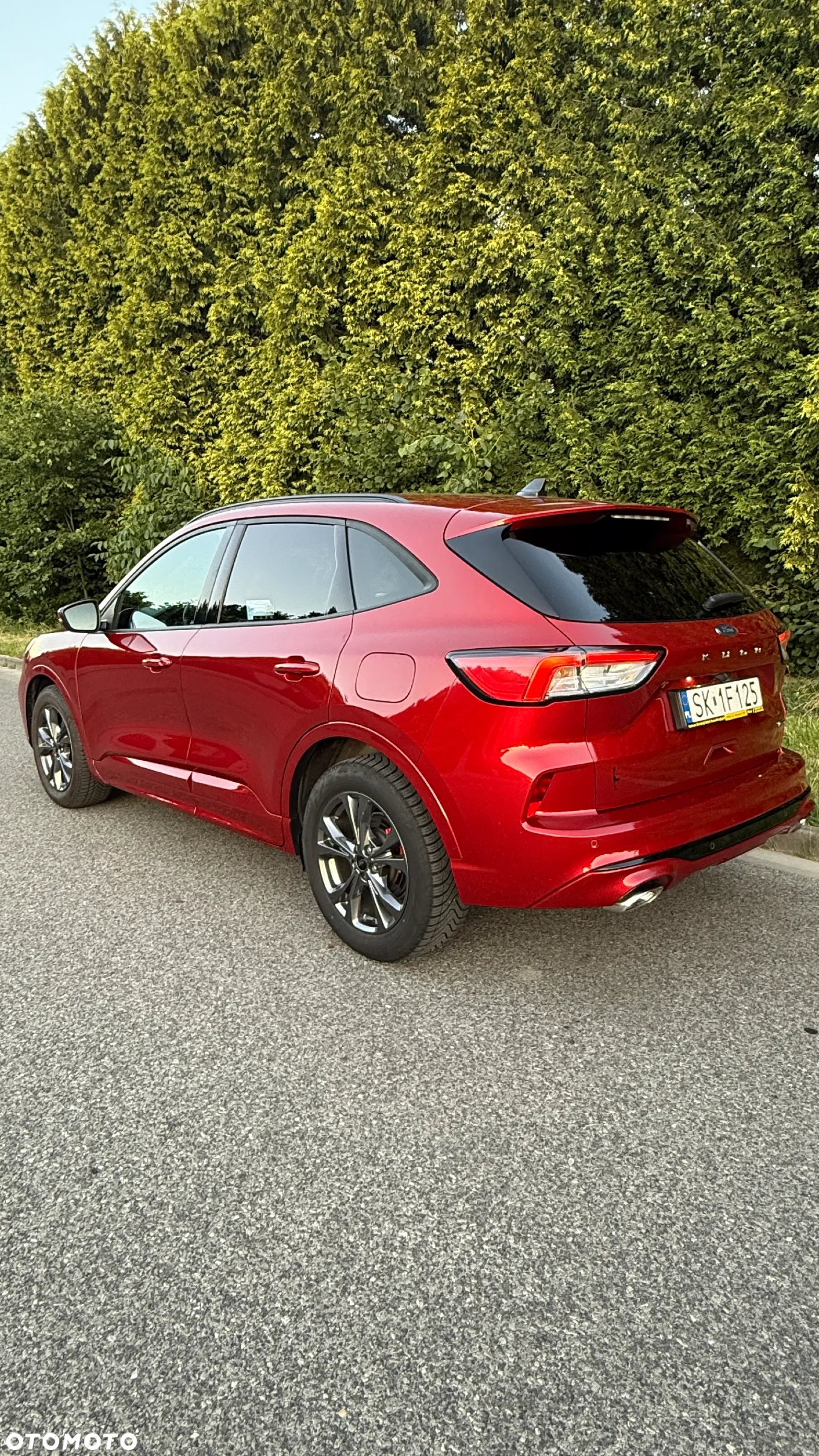 Ford Kuga 2.5 FHEV FWD ST-Line - 7