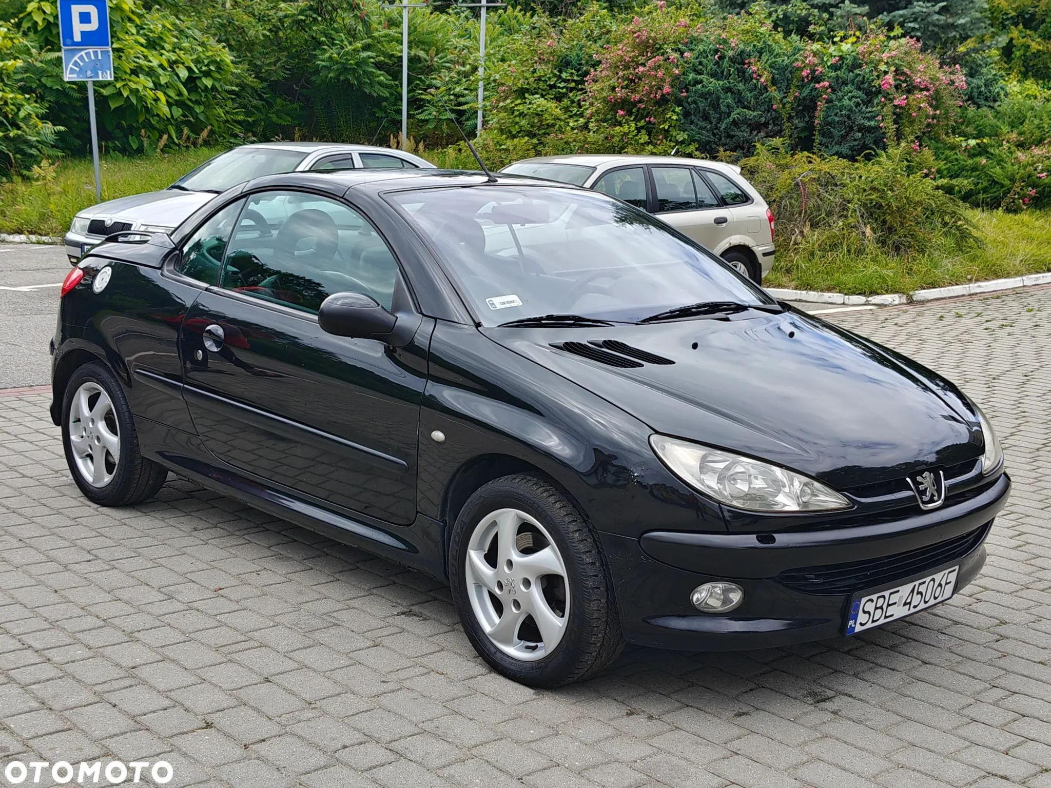 Peugeot 206 CC 110 - 16