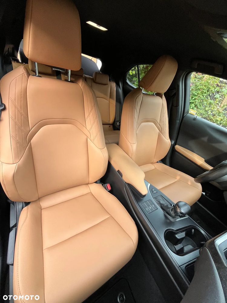 Lexus UX 250h GPF F Sport Design+ 2WD - 9