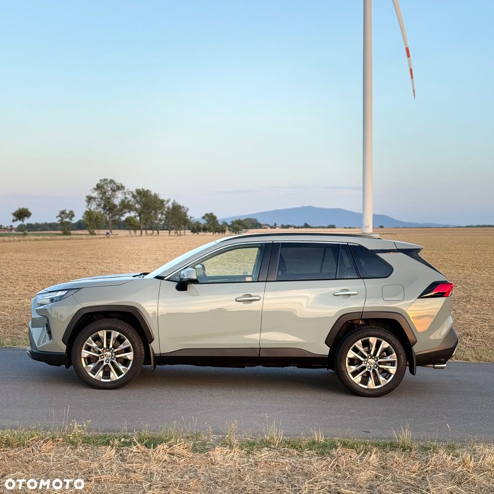 Toyota RAV4 2.5 Hybrid Executive 4x2 - 6