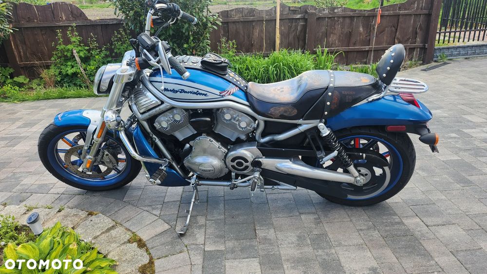 Harley-Davidson V-Rod Street Rod - 6