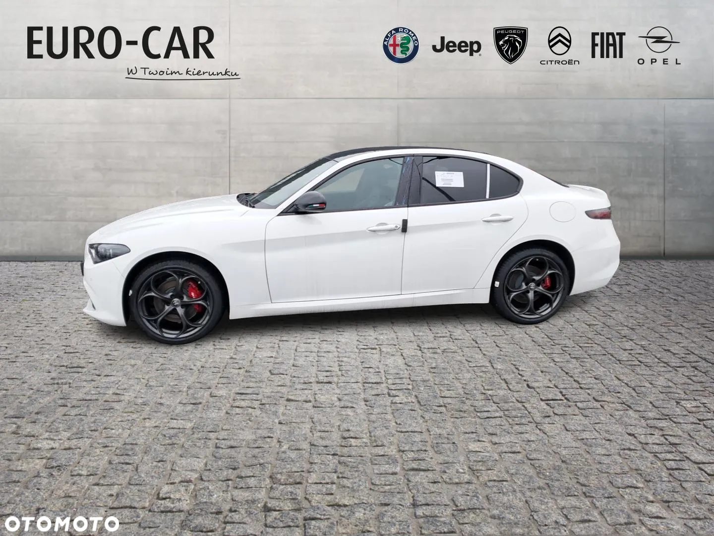 Alfa Romeo Giulia 2.0 Turbo Tributo Italiano Q4 - 2