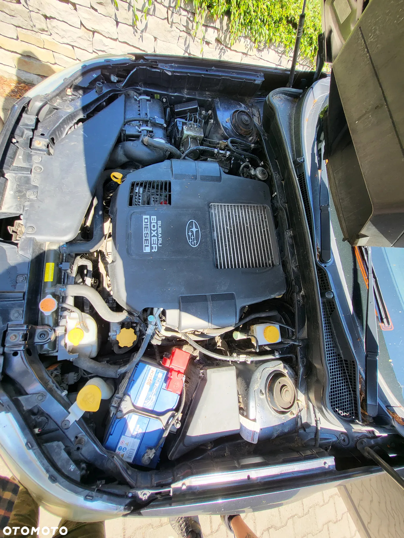 Subaru Forester - 7