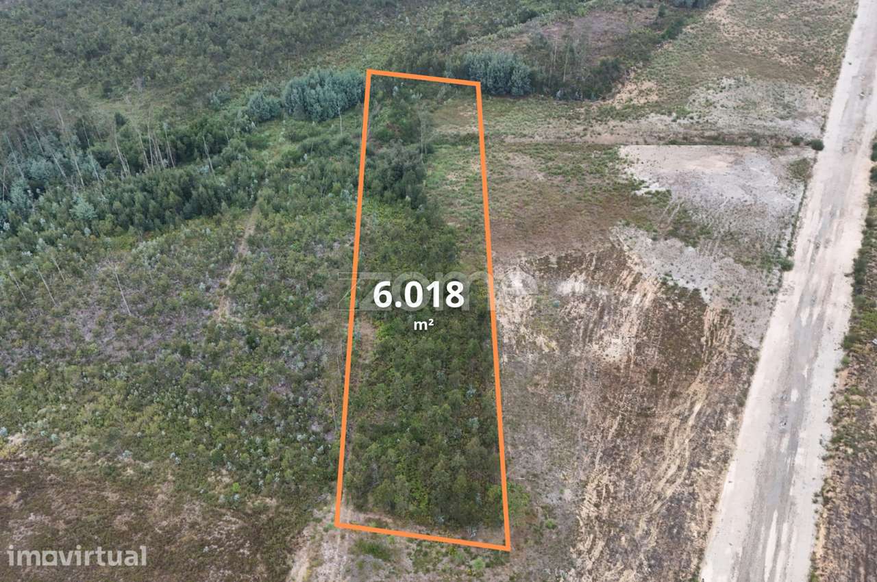 Terreno com 6.018 m² em Albergaria-a-Velha | Zona Empresarial - Grande imagem: 3/23