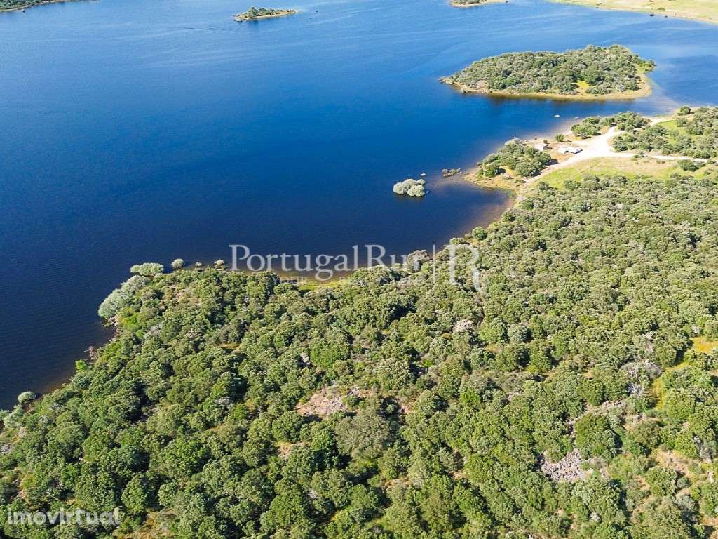 Terreno com 11,5ha na barragem de Idanha-a-Nova - Grande imagem: 3/22