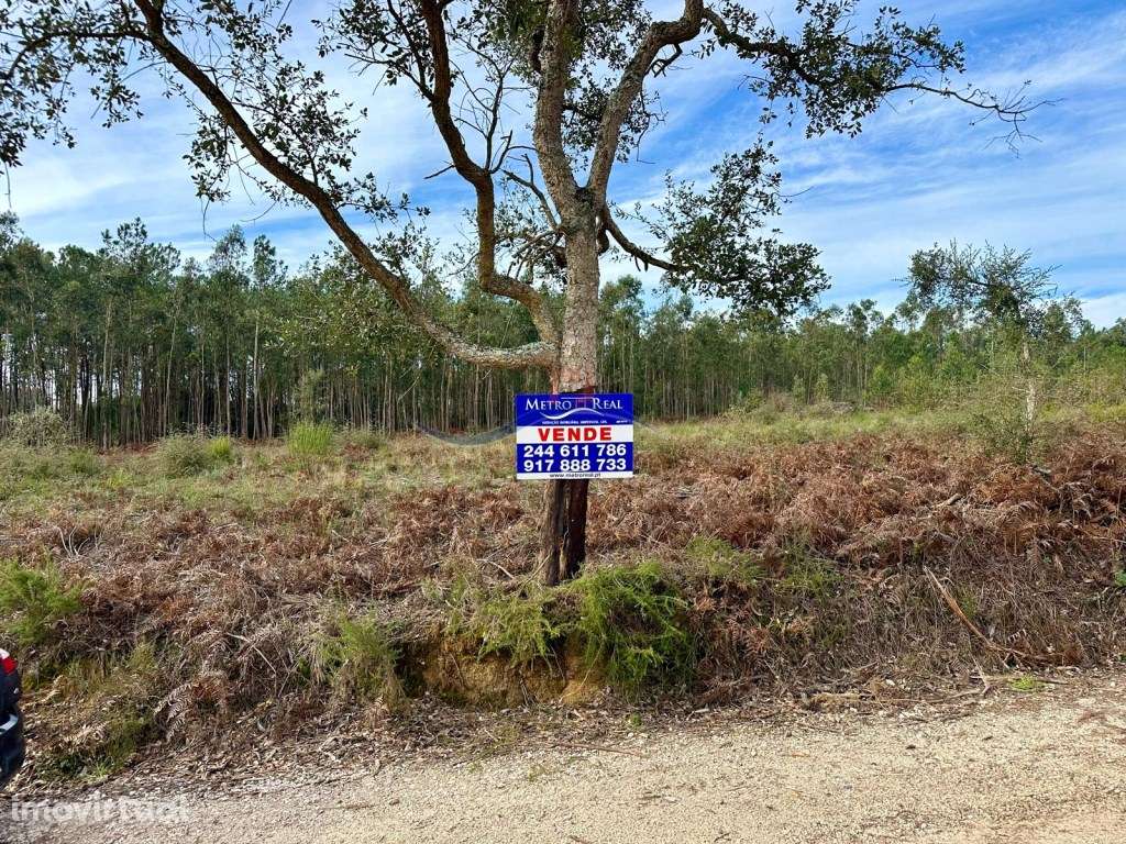 Terreno Florestal - Serra Porto de Urso. - Grande imagem: 4/21