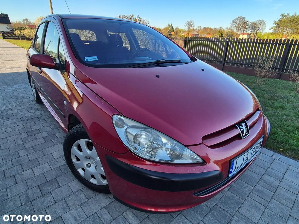 Peugeot 307 1.4 XS - 4