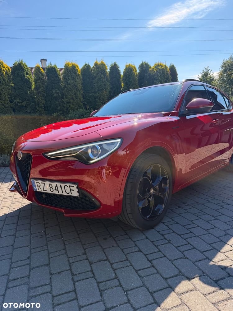 Alfa Romeo Stelvio 2.0 Turbo Veloce Q4 - 1