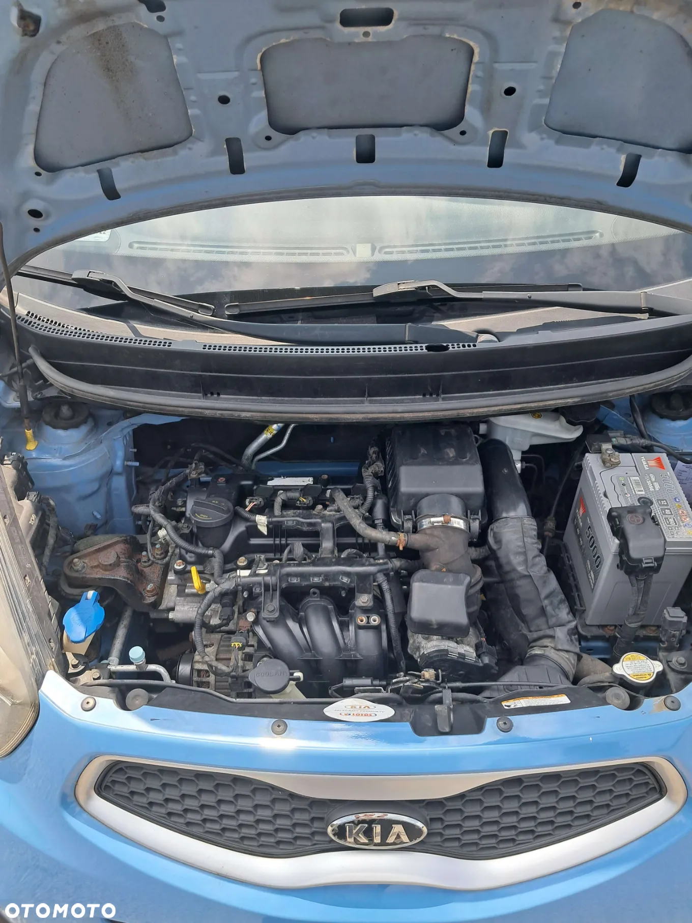 Kia Picanto - 4