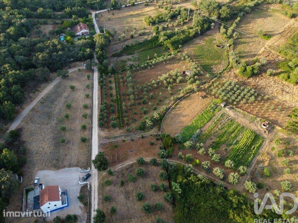 Terreno em Areias e Pias de 4160,00 m2 - Grande imagem: 2/30