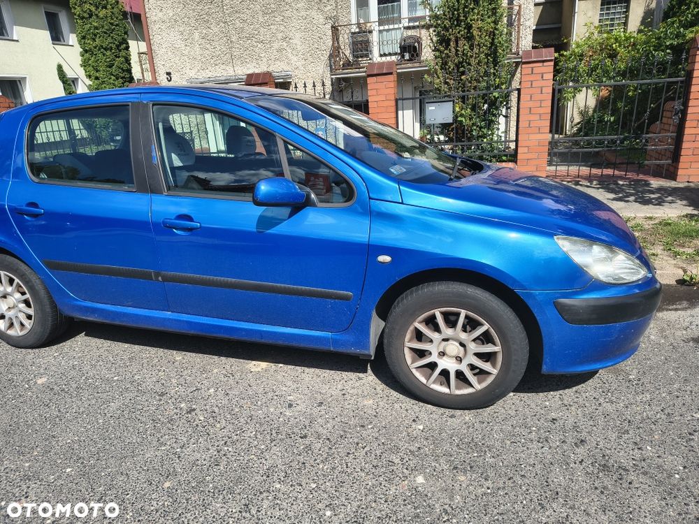 Peugeot 307 - 8