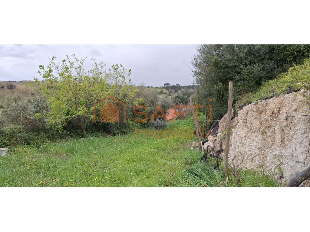 Terreno em Gucherre, Almoster, Santarém (11.880 m²) - Grande imagem: 2/21