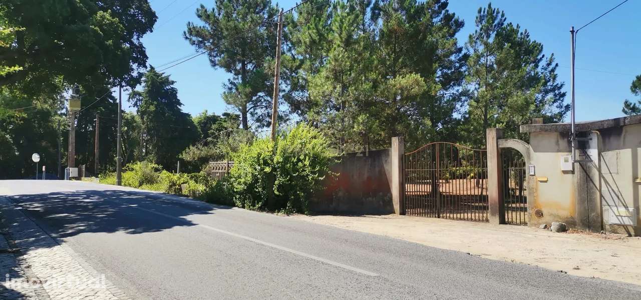 Terreno plano rústico nas Padeiras, Setúbal. - Grande imagem: 3/4