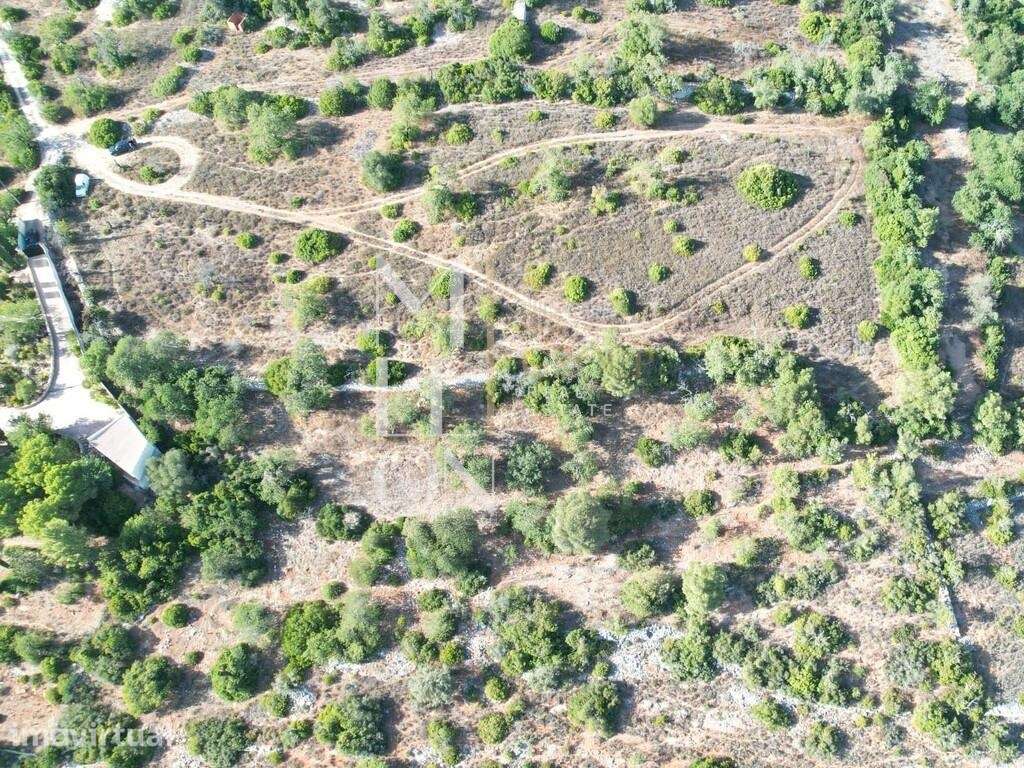 Conjunto de 2 terrenos rústicos  área total superior a 12.000 m2– CERR - Grande imagem: 3/13