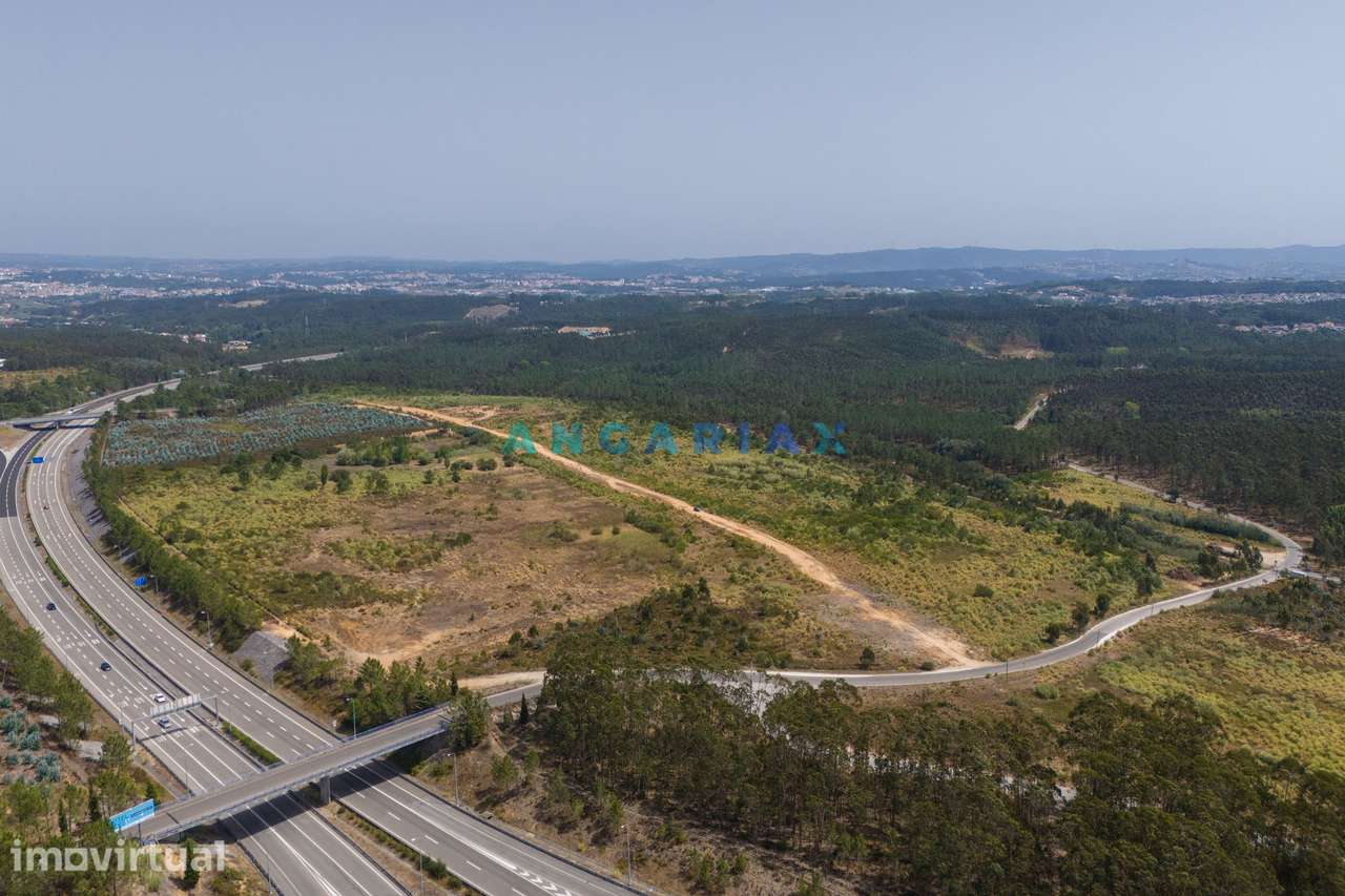 ANG380 - Terreno 42.5ha para Venda em Barosa - Grande imagem: 4/35
