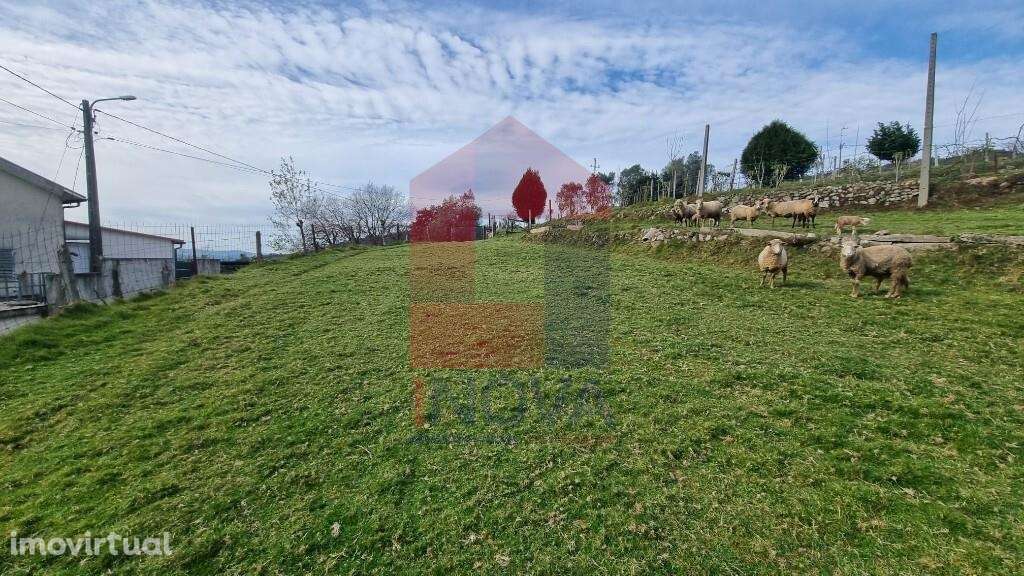 Terreno com projeto aprovado, Godinhaços - Grande imagem: 5/30