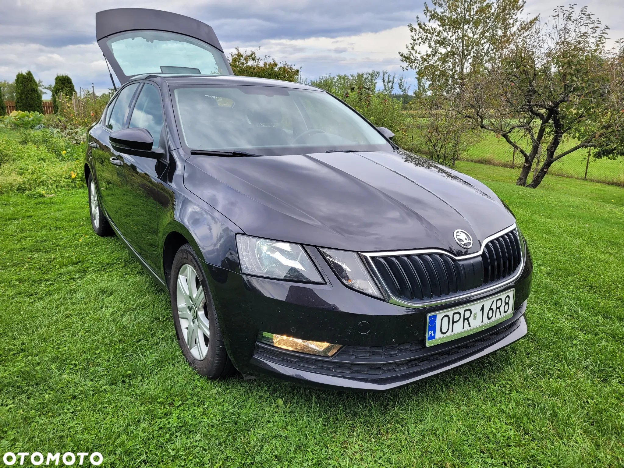Skoda Octavia 1.6 TDI SCR Ambition - 23