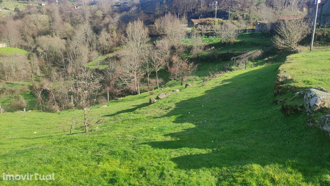 Terreno Rústico  Venda em Loivos do Monte,Baião - Grande imagem: 2/11