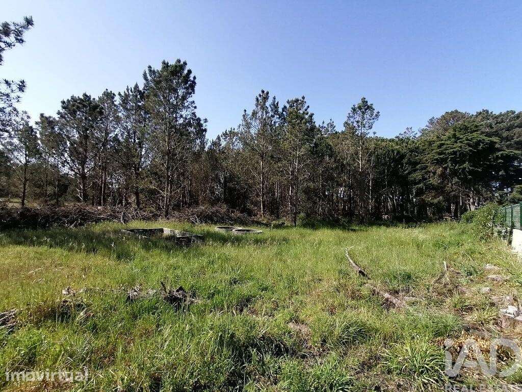 Terreno para construção em Sesimbra (Castelo) - Grande imagem: 5/13