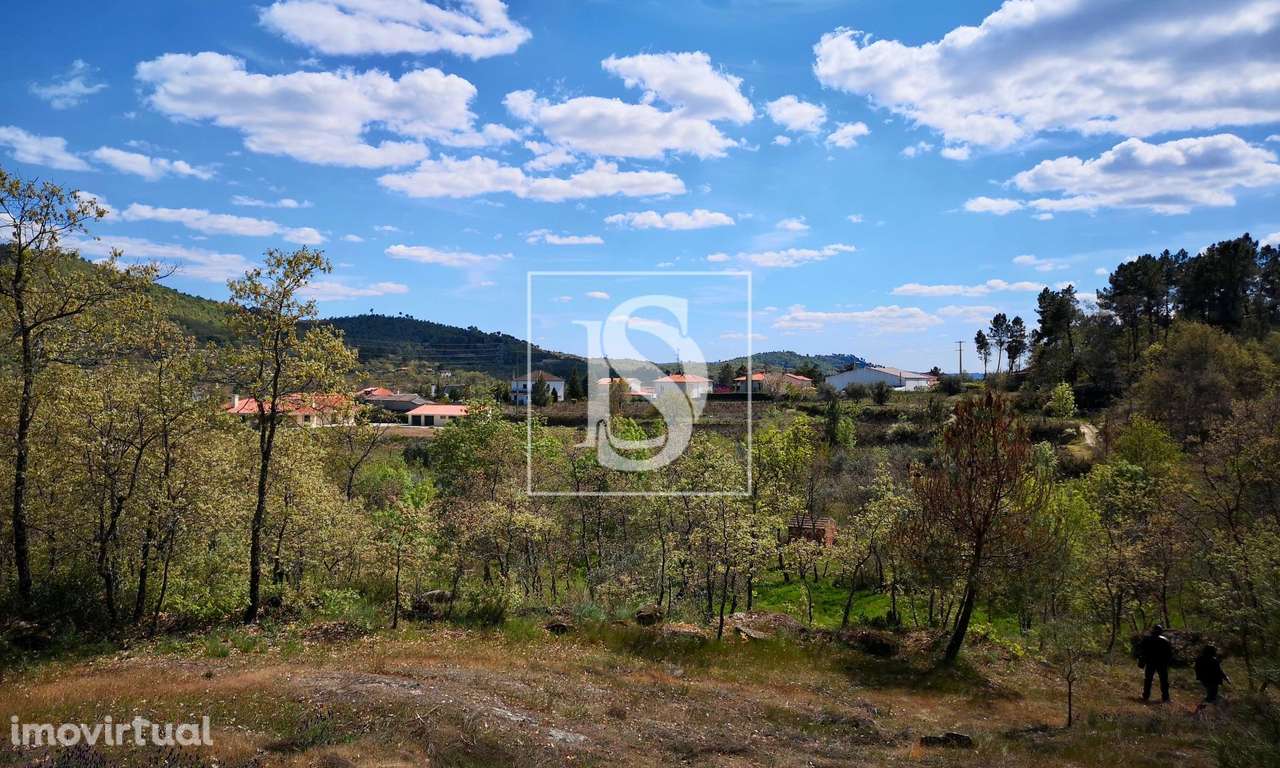 Terreno  Venda em Maçainhas,Belmonte - Grande imagem: 4/12