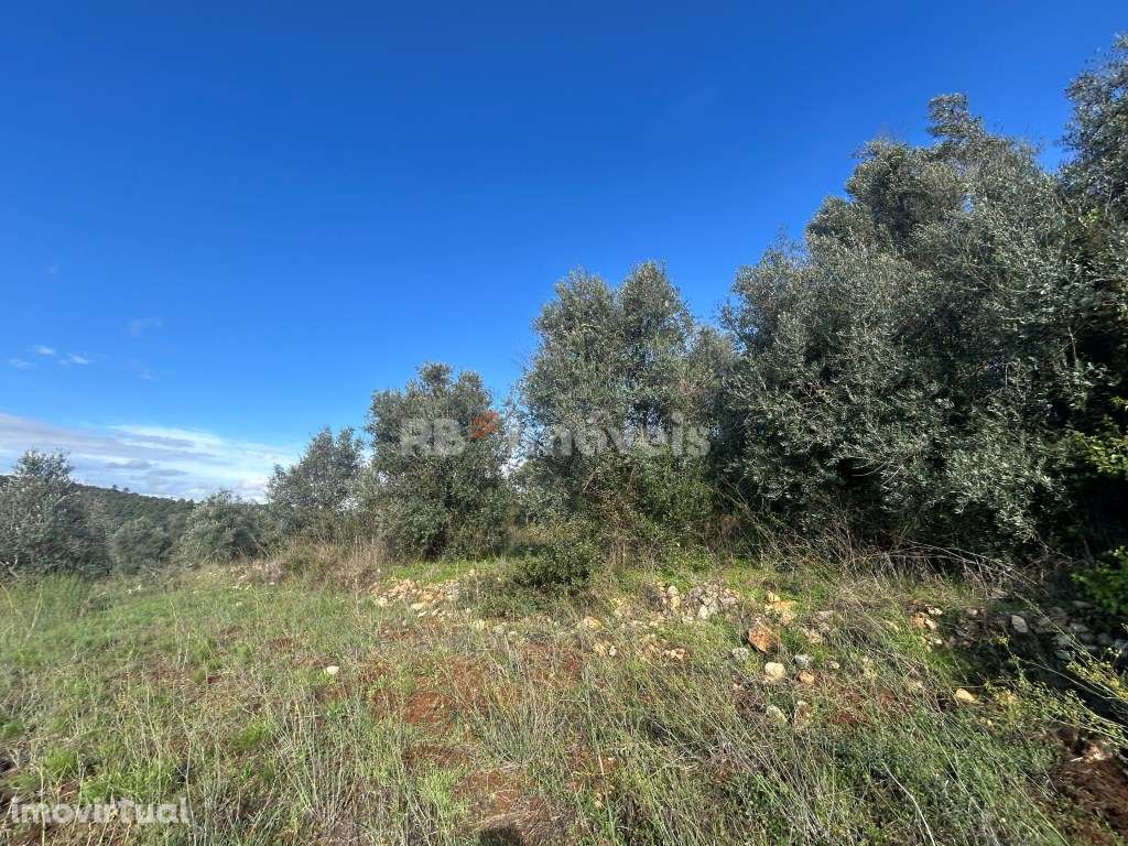 2 Terrenos rústicos c/ PDM urbano - Carvalhal da Póvoa, Tomar - Grande imagem: 2/24