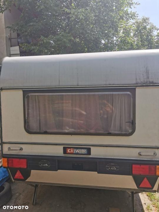 Wilk 590 - 2