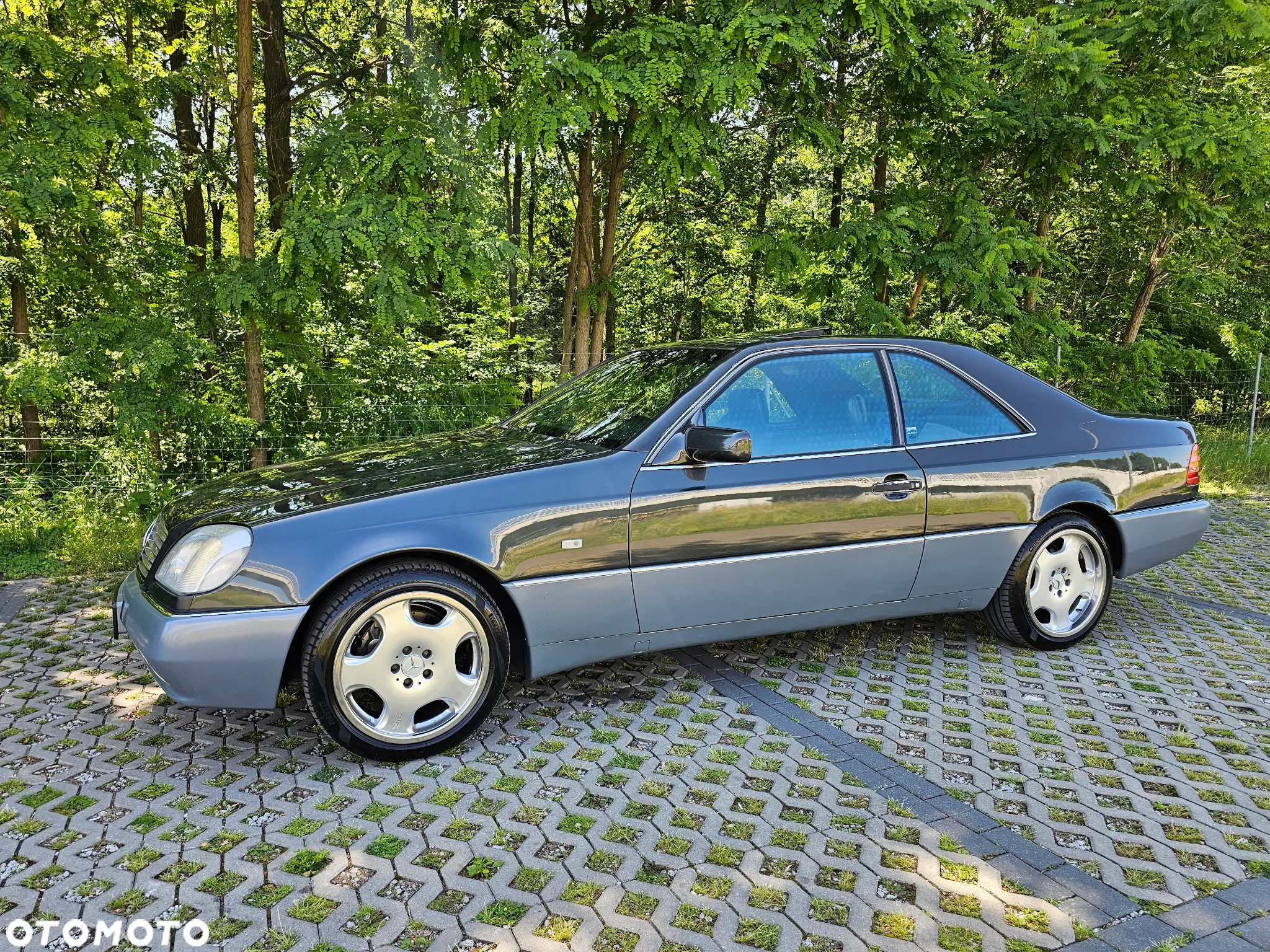 Mercedes-Benz CL 420 - 21