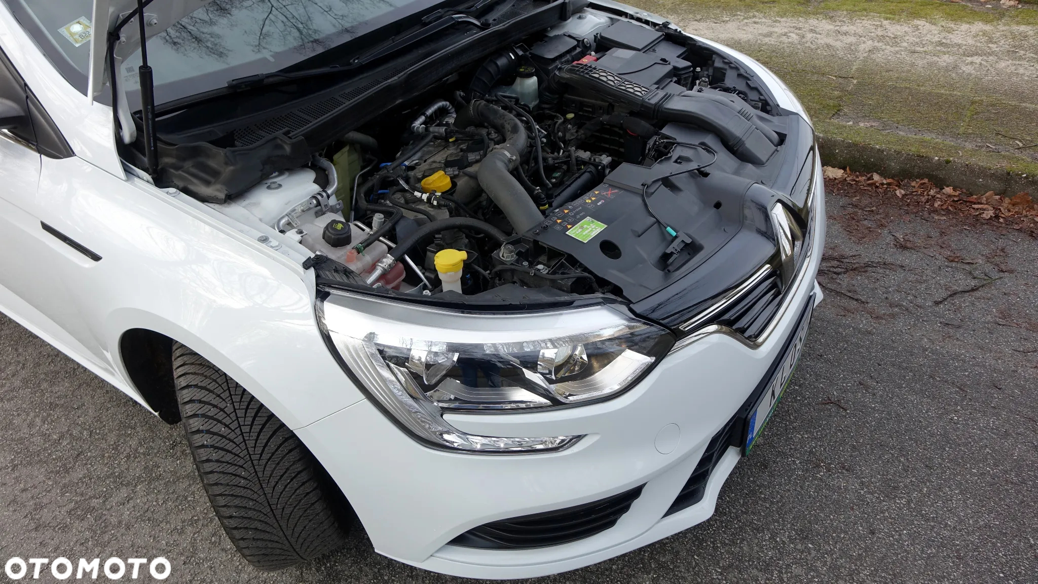 Renault Megane - 39